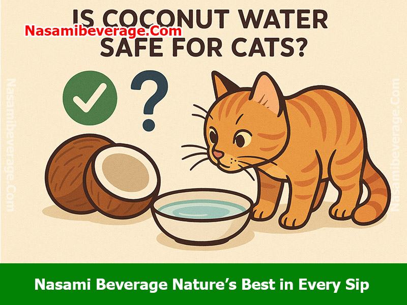 can cats have coconut water Can cats have coconut water