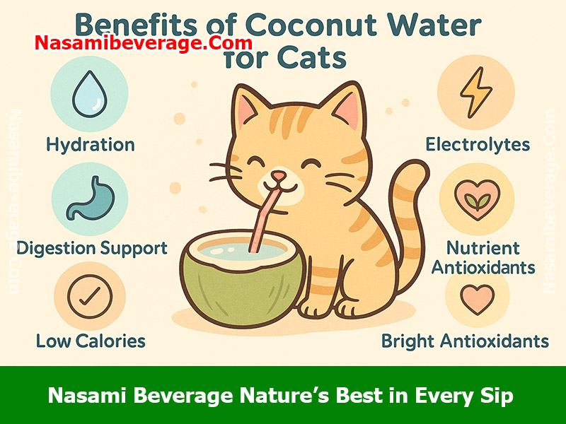 can cats have coconut water Can cats have coconut water