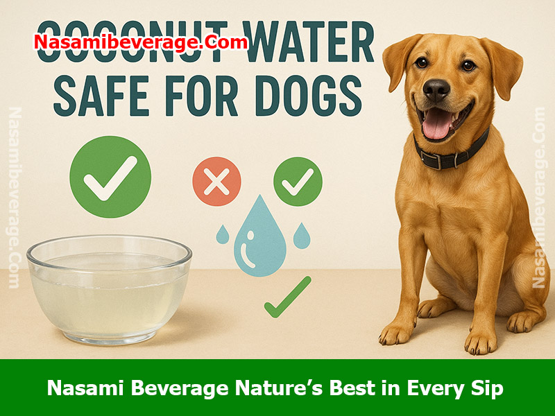can a dog drink coconut water Can a dog drink coconut water