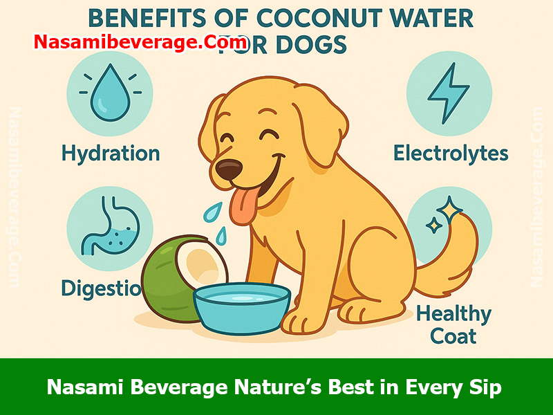 can a dog drink coconut water Can a dog drink coconut water
