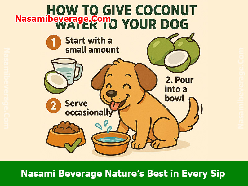 can a dog drink coconut water Can a dog drink coconut water